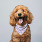 PURPLE FLORALS  DOG BANDANA