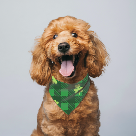 CHECKERED ST PATRICKS  DOG BANDANA