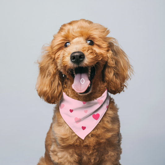 Valentine Dog Bandana-HEARTS