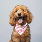 DOG BANDANA CHECKERED HEARTS