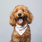 PINK BOWS DOG BANDANA