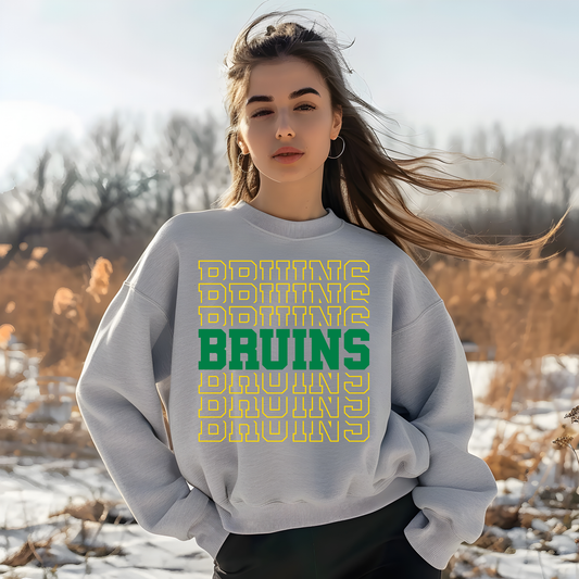 BRUINS BRUINS BRUINS