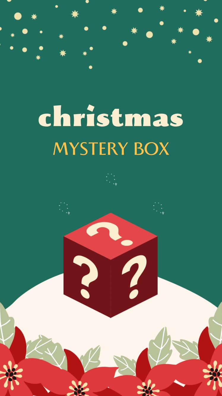 CHRISTMAS MYSTERY BOX