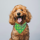 ST PATRICK SHAMROCK DOG BANDANA