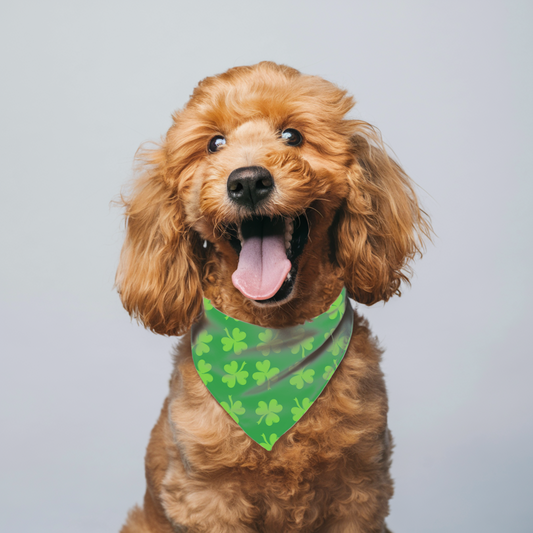 ST PATRICK SHAMROCK DOG BANDANA