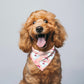 Christmas Bandana